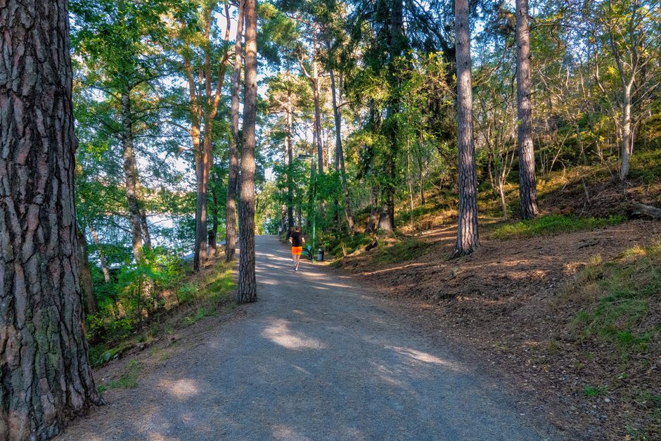 Chaussures de trail pour débuter : notre sélection 2026