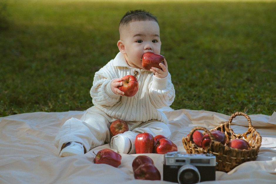 Gourde à compote réutilisable pour bébé : laquelle choisir ?