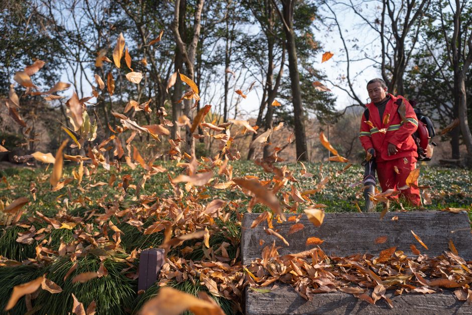 Souffleur de feuilles : le guide d'achat complet 2026