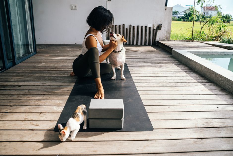 Tapis de léchage pour chien et chat : lequel choisir en 2026 ?